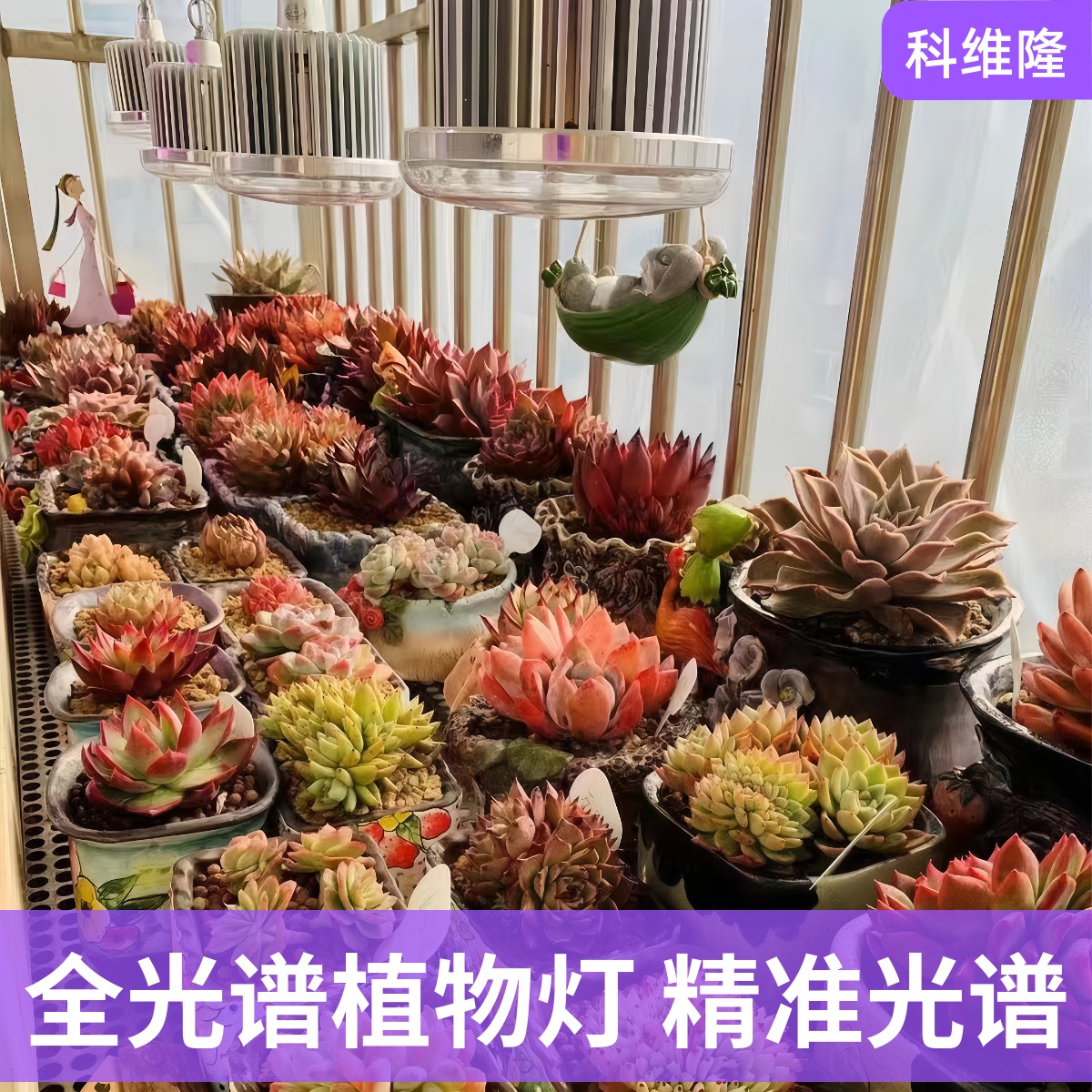 科维隆上色家用仿太阳多肉补光灯