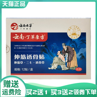 【买2送1/5送4】云南本草云南丁草康方伸筋透骨贴12贴/盒