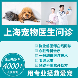 宠物医生线上问诊一线城市专家兽医犬猫医疗宠物诊所医院咨询猫咪