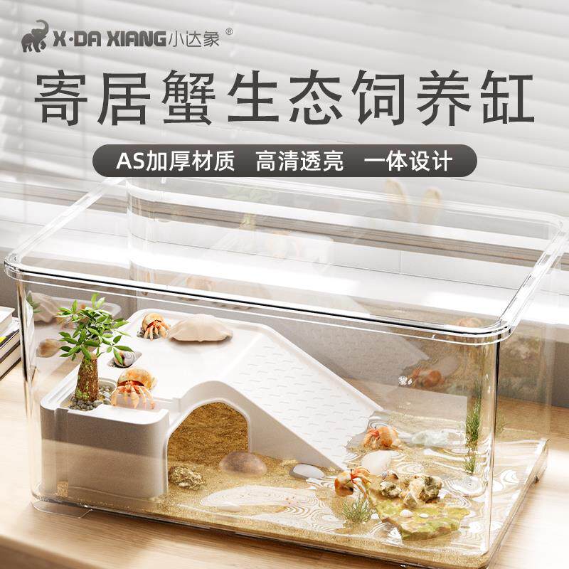 寄居蟹饲养盒套装箱小型桌面爬宠相守蟹螃蟹生态养殖箱乌龟缸造景