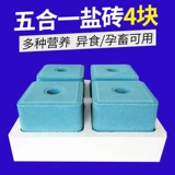 Корова беременная соль животных соль соль соль облизы