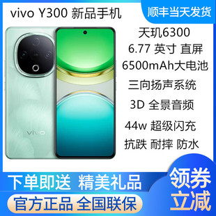 vivoy300 5G手机天玑6300超大电池拍照游戏防水抗摔 vivo Y300新品