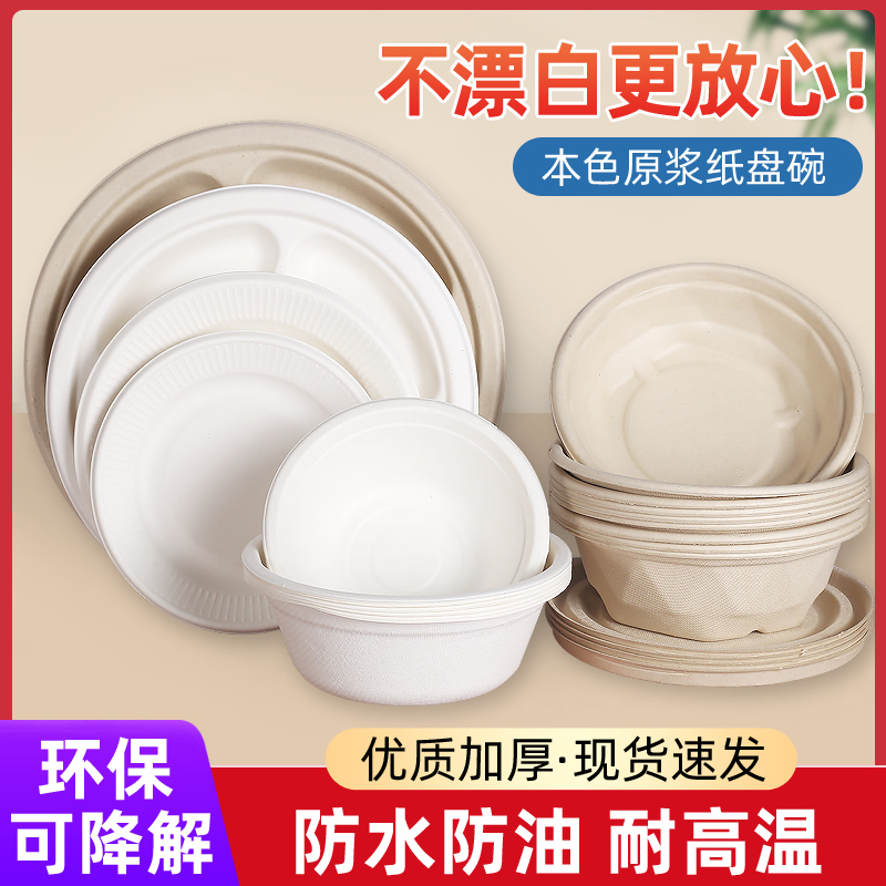 手工一次性绘画白色可降解纸盘子