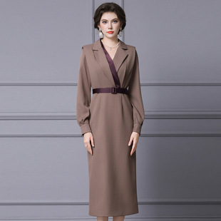 星译微胖重要场合连衣裙深圳南油长袖V领高个子裙子2025秋冬新款