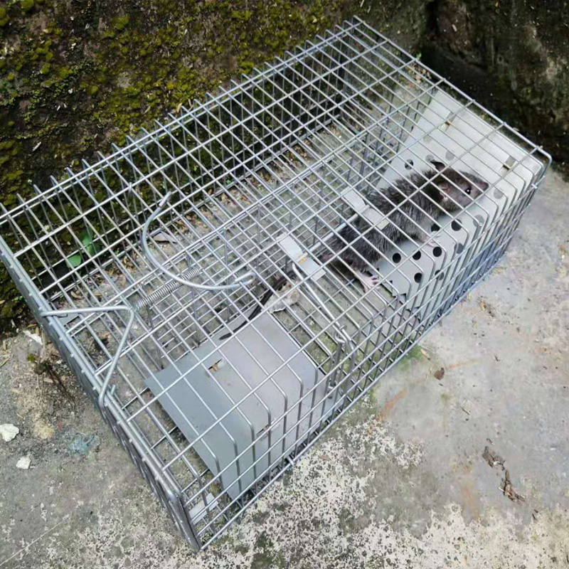 捕鼠神器老鼠笼只进不出连续踏板野外笼铁网捉补鼠全自动老鼠笼子