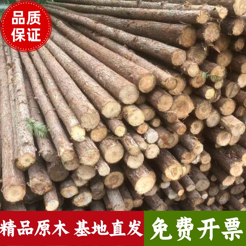 杉木杆杉木桩打桩围栏圆木树木支撑杆民宿婚庆营地木头架子可削尖