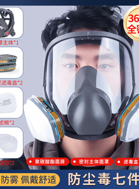 酸碱化工甲醛蒸气粉尘防毒面具