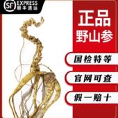 长白山野山参45 60年稀有纯正东北野山参国检特等权威认证