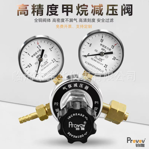 铂唯甲烷减压器YQJ-7全铜CH4气钢瓶减压微调压阀2.5*25压力表双头