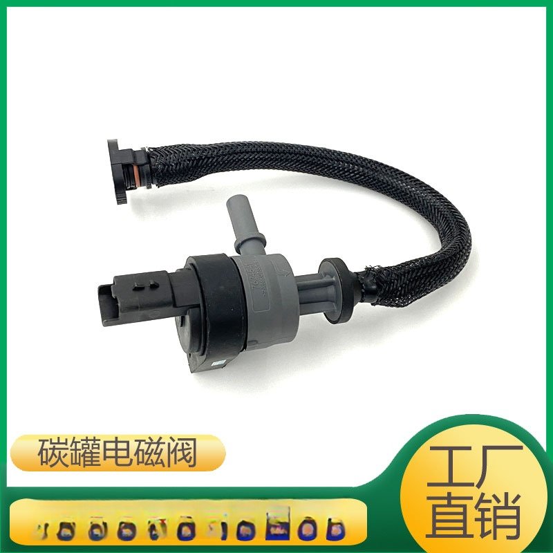 13537543285 适用于宝马MINI迷你发动机燃油管碳罐电磁阀