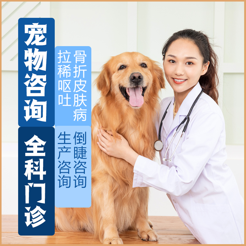 宠物医生在线免费咨询狗猫咪兽医线上问诊看病网络专业宠物医院