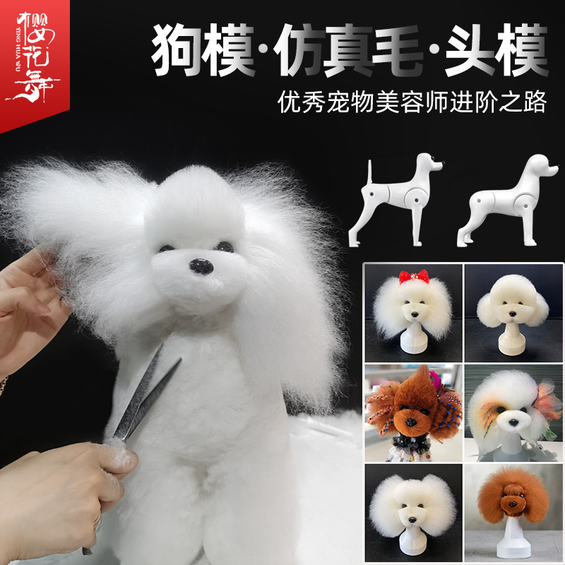 优秀宠物美容师的进阶成功之路