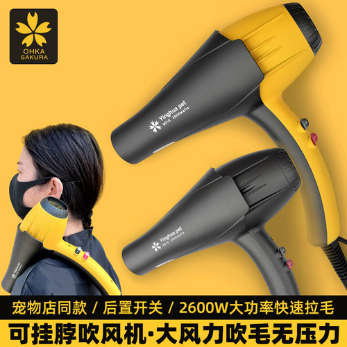 宠物吹风机狗洗澡速干