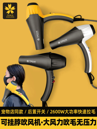 采购产品宠物吹风机，美容师的特殊悬挂颈部和后部开关吹风机，猫