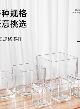 玻璃花盆郁金香水培风信子水培