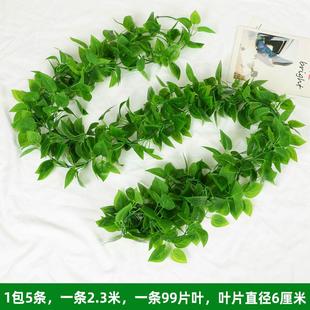 饰假遮丑绿植美化花藤水管管道遮挡空调绿叶花 仿真藤条绿萝叶子装