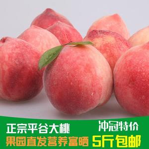 5斤包邮正宗平谷大桃子果园直发脆桃北京水蜜桃鲜桃坏果包赔蜜桃