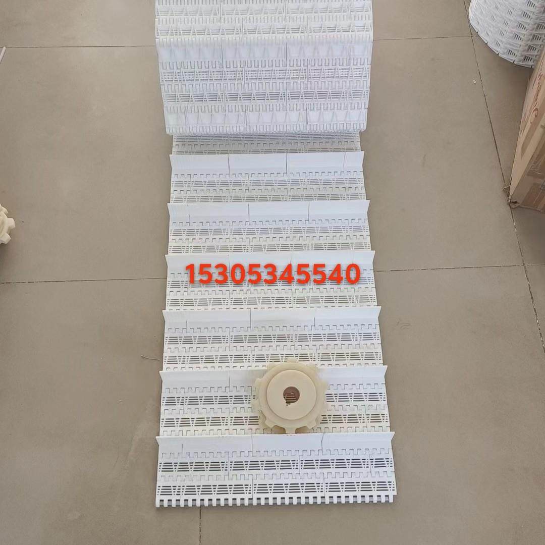 塑料炼板输送带炼板输送机装配线食品级塑料网带网炼Opb间距50.8,五金/工具,传动带,淘宝优惠券,粉丝福利购,淘宝优惠卷