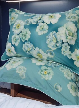 定制精品棉加厚磨毛成人全棉枕套单人枕头套48x74cm枕芯套 一对装