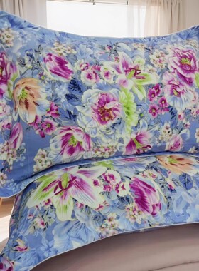 定制精品棉加厚磨毛成人全棉枕套单人枕头套48x74cm枕芯套 一对装