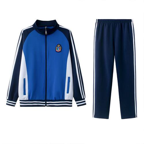 中小学生校服套装春秋季