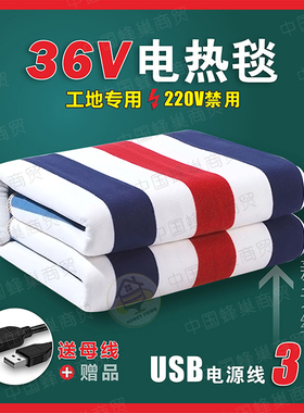 36V电褥子USB插头工地专用宿舍寝室单双人36伏低压水暖电热毯