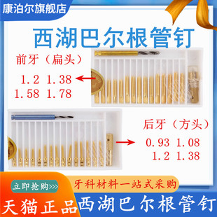 牙科材料根管钉 前牙根管钉 后牙根管钉 西湖巴尔金属桩 根管桩