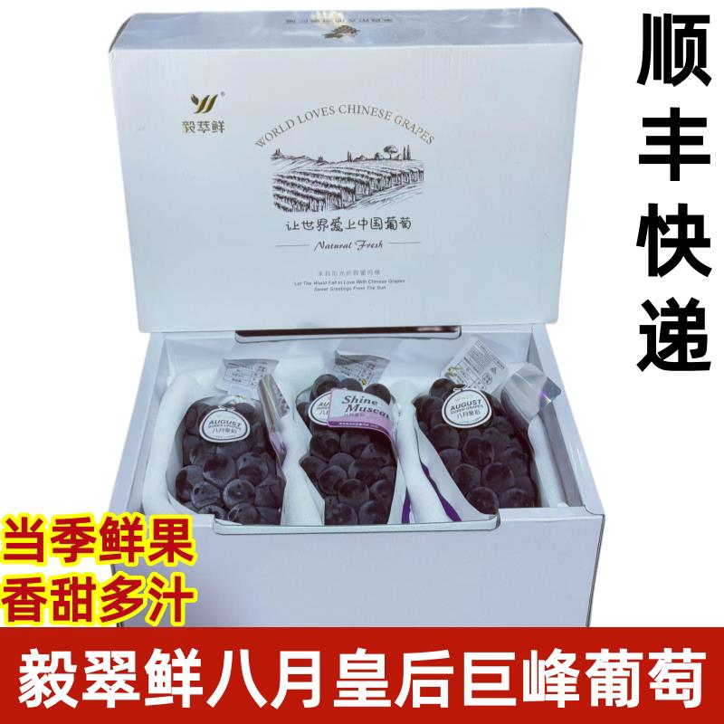 毅翠鲜八月皇后巨峰葡萄原箱礼盒黑峰葡萄新鲜水果黑葡5斤顺丰