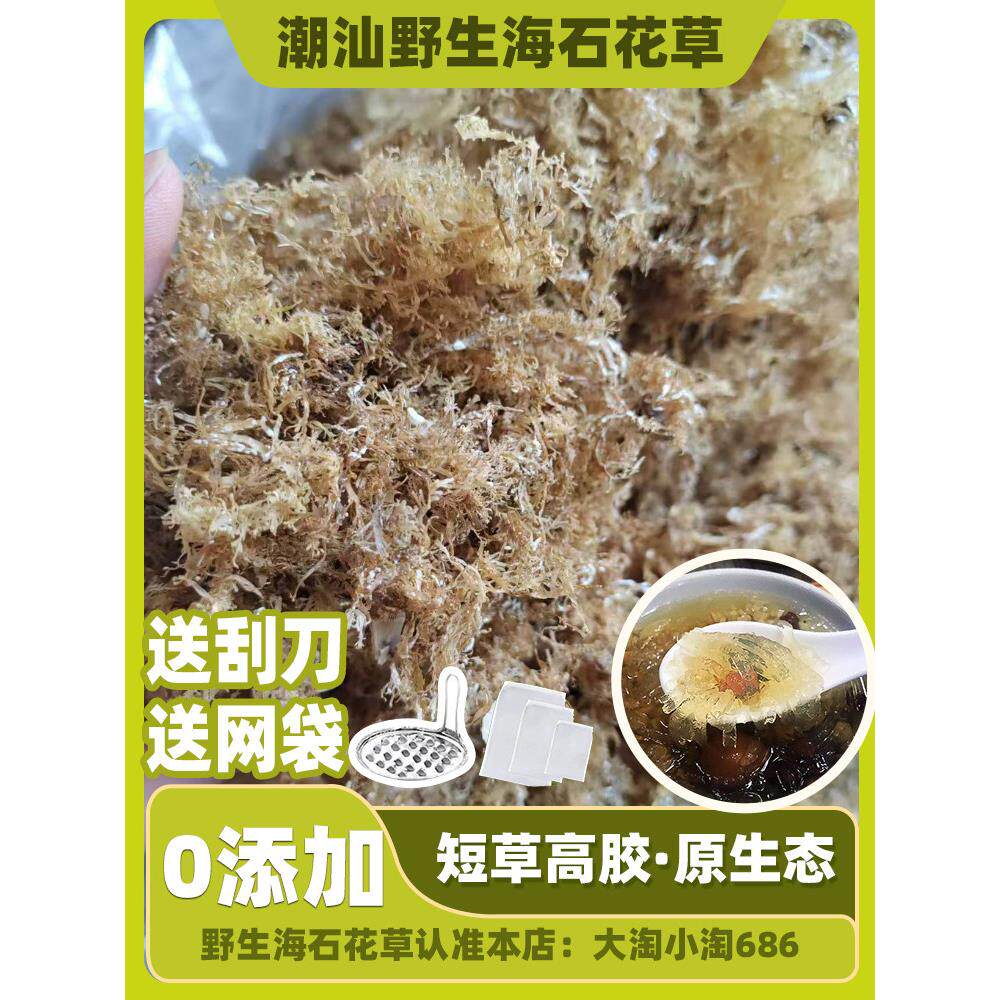 海石花草潮汕新草短草高胶石花膏四果汤凉粉饶平短毛商用家用500g