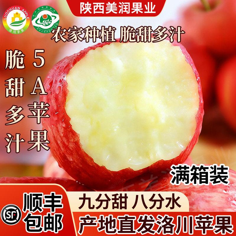 陕西红富士整箱装陕北特产脆甜洛川苹果当季整箱条纹红脆甜多汁