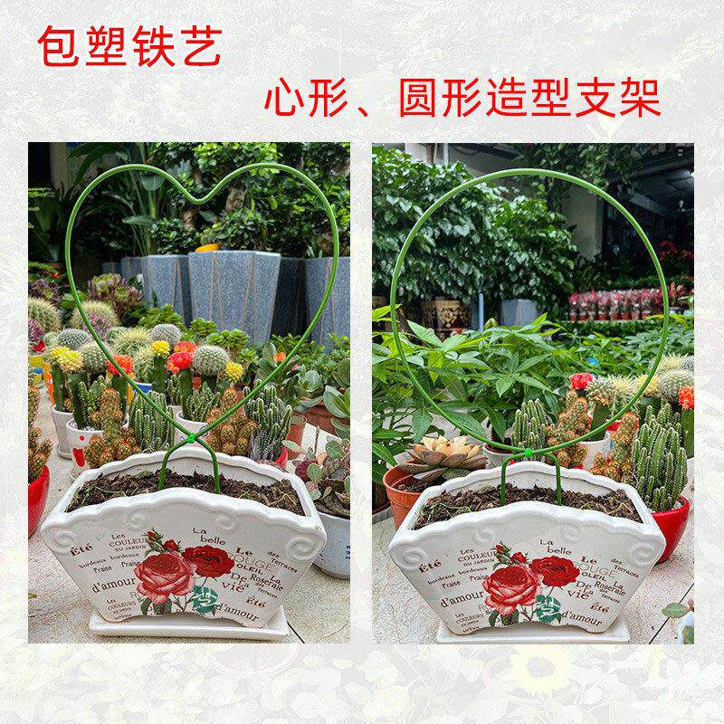 花架托架室内铁艺圆形心形雪莹绿萝山乌龟甲龙铁线莲花架爬藤架子