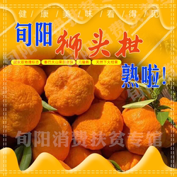 旬阳精品狮头柑礼盒丑柑丑橘丑八怪不知火五斤礼盒包邮