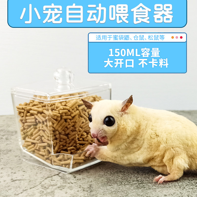 松鼠自动喂食盒颗粒料蜜袋鼯