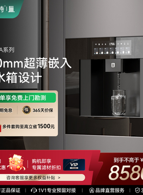 耐沃特智热A1/A2嵌入式即热饮水机净水器家用一体管线机