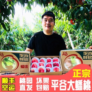 蟠桃北京水蜜桃平谷大桃潘桃扁桃新鲜水果桃子顺丰包邮约5斤礼盒