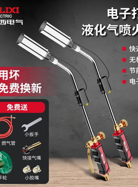 德力西电子打火喷火枪家用烧肉烧猪毛烤毛抢液化气煤气燃气喷枪头