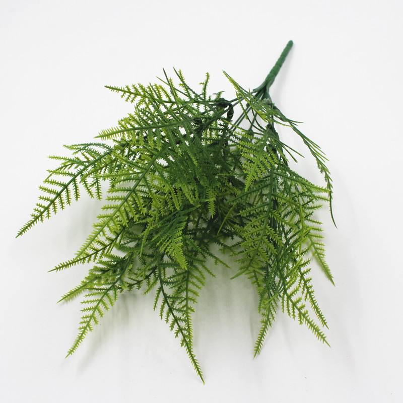 文竹绿植盆栽塑料栅栏蕨类波斯草