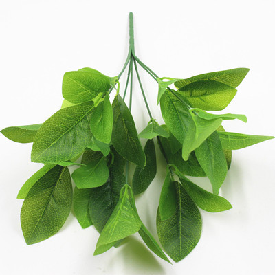 玉兰叶水果店客厅摆放植物墙