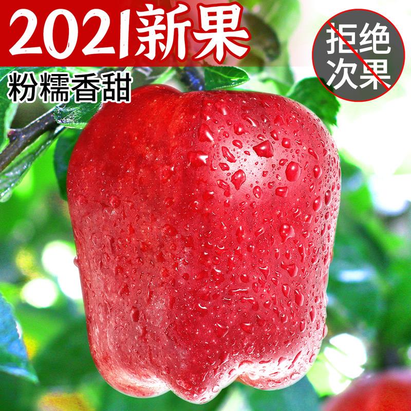 甘肃天水花牛苹果9斤水果新鲜当季整箱包邮红蛇果粉红苹果平果10