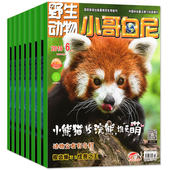 当月起订 小哥白尼杂志野生动物2026年默认1月 预定全年共12期 全年订阅