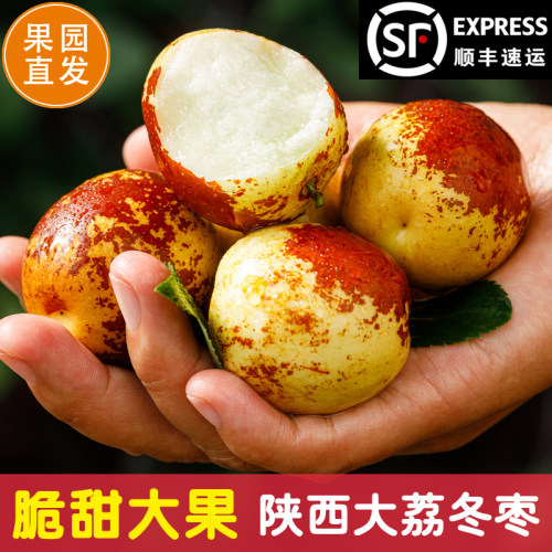 陕西大荔冬枣正宗新鲜现摘脆甜冰糖枣子应当季水果整箱顺丰包邮
