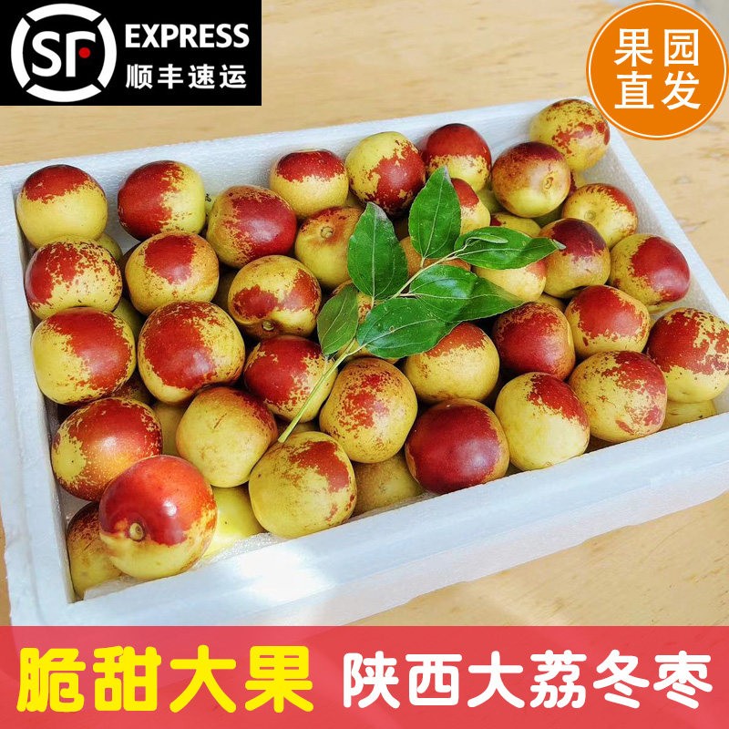 正宗陕西大荔冬枣新鲜应季水果脆甜大枣子现摘产地直发顺丰包邮