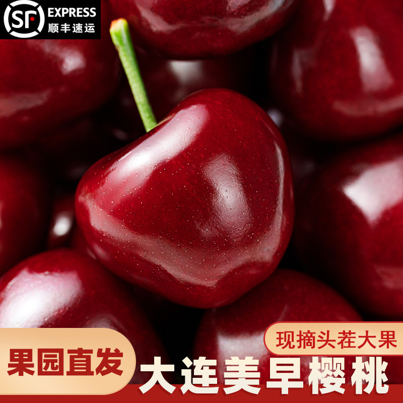 大连美早大樱桃现货顺丰空运