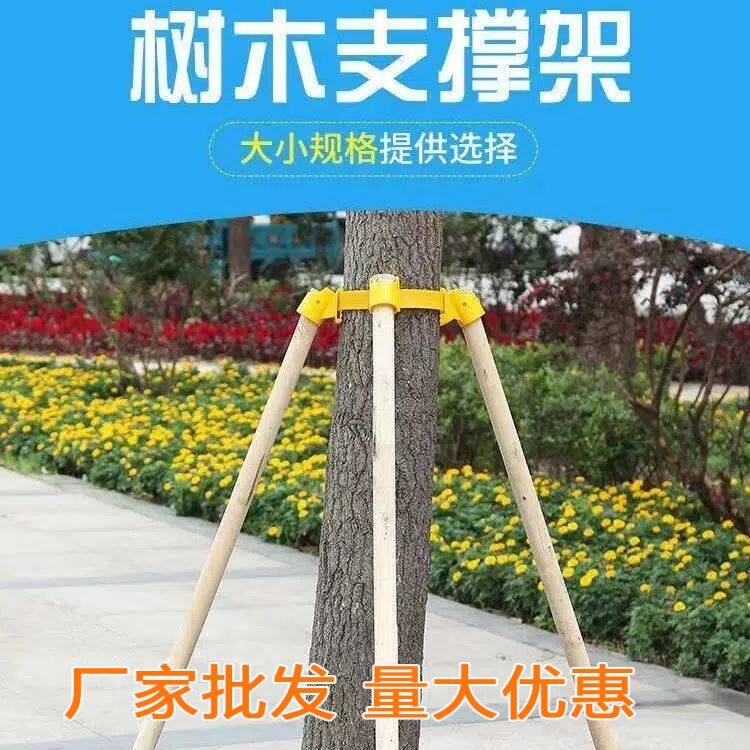 树木支撑杆苗木杉木杨木松木支撑架绿化防风固定架套杯三四脚架