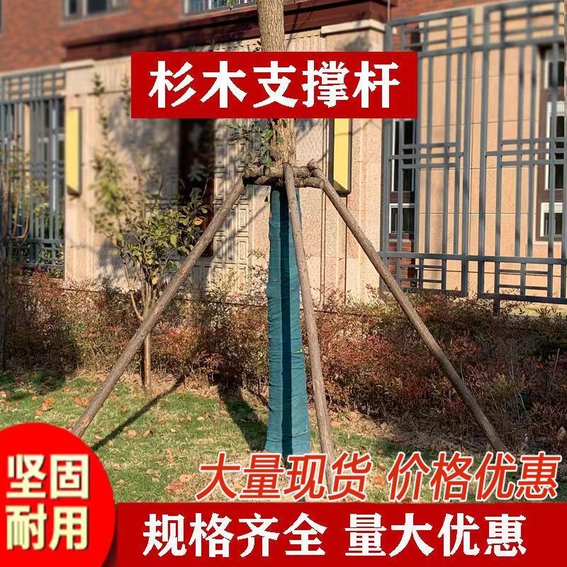 树木支撑绿化支架撑杆固定器套杯树木支架苗木固定器园林养护物资