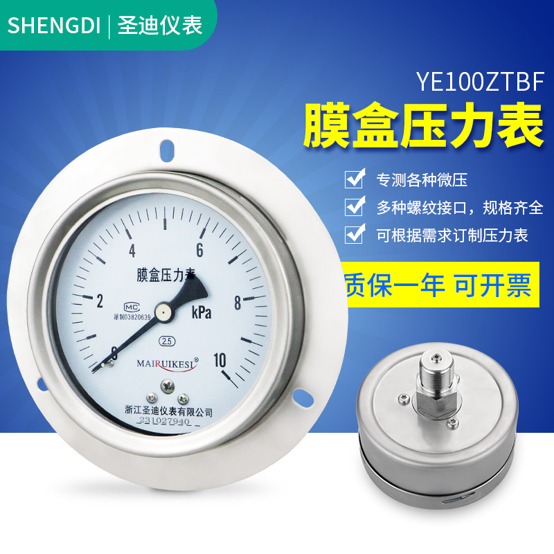 轴向带边不锈钢膜盒压力表YE100ZTBF 耐腐蚀沼气含硫天然气微压表