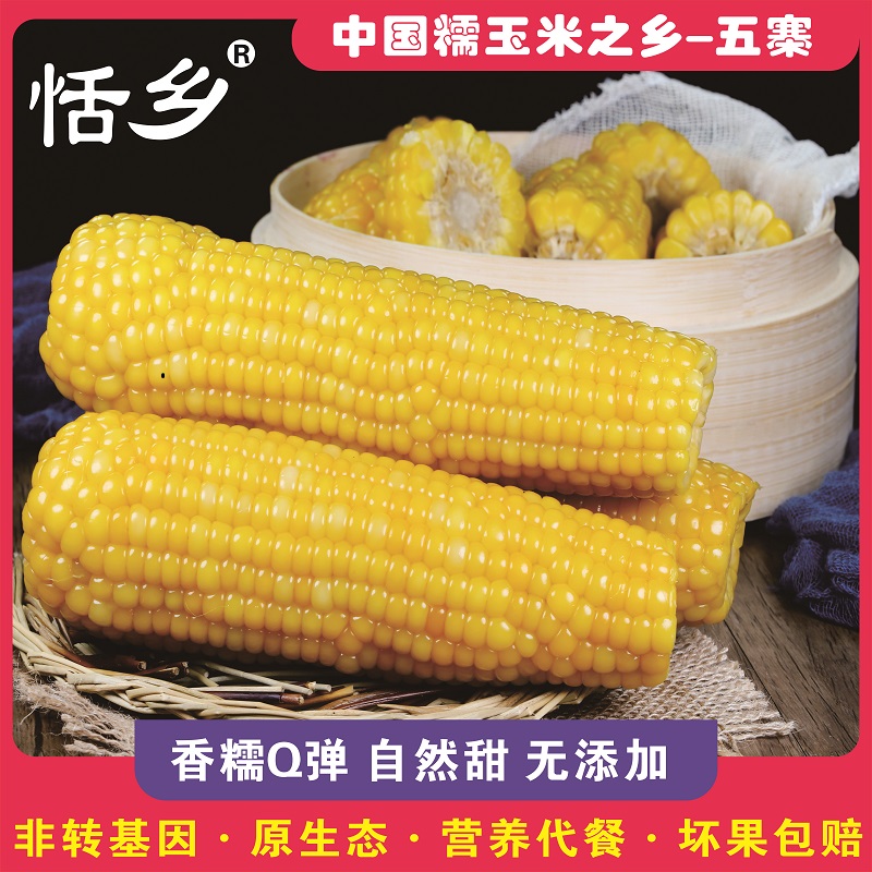 恬乡黄糯玉米甜糯粘玉米棒水真空装包新鲜非即食玉米10支黏玉米粒