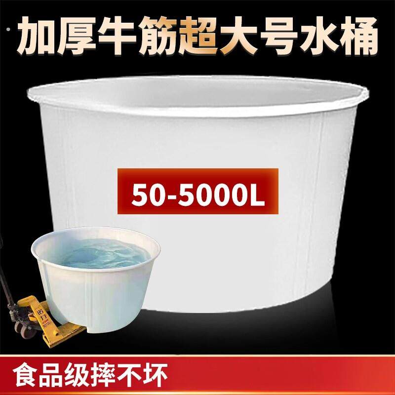 特大号水桶大容量超大加厚塑料圆桶家用水箱酿酒腌菜发酵桶储水桶