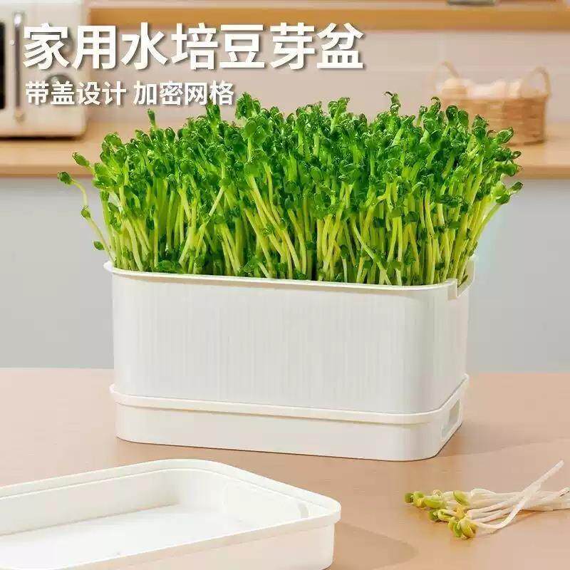 豆牙发牙盆水培育苗盘生豆芽专用筐老式豆芽缸懒人豆芽菜苗发芽盆