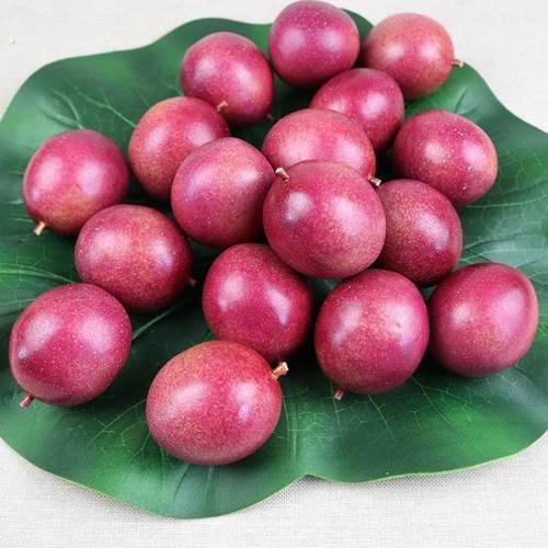 仿真百香果水果模型 鸡蛋果西番莲仿真水果树枝装饰拍摄摆设道具